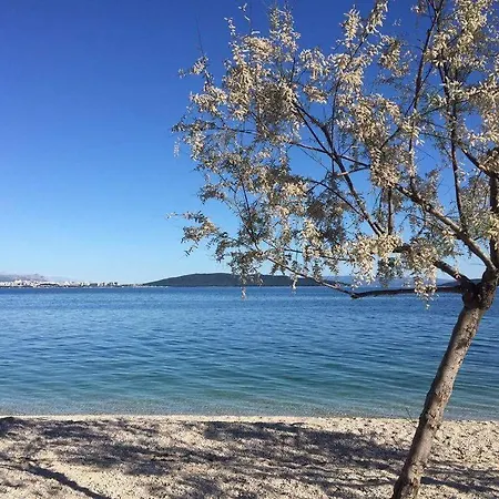 Διαμέρισμα Olea *