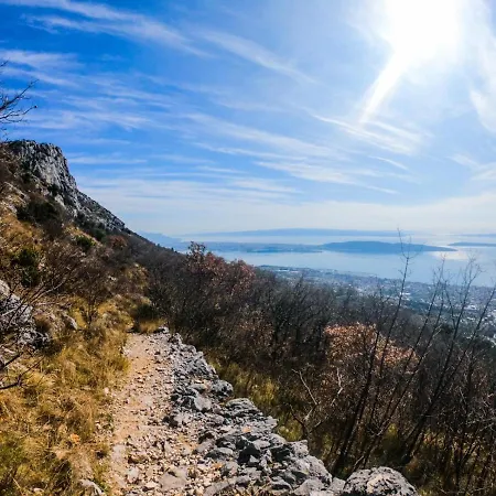 Olea * Kaštela
