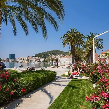 Olea * Kaštela
