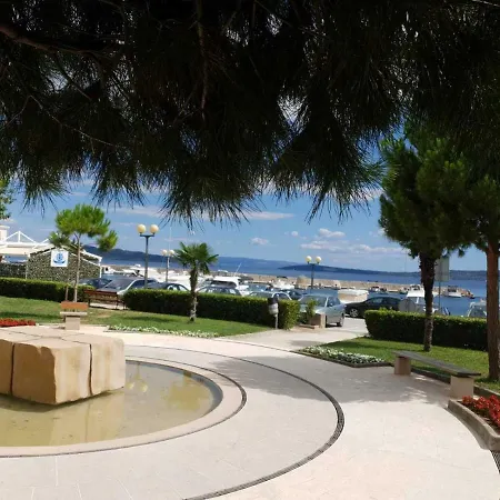 Olea *